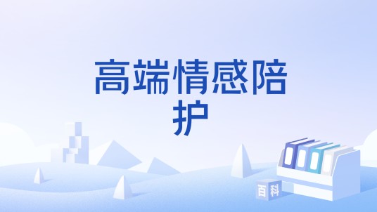 高端情感陪护