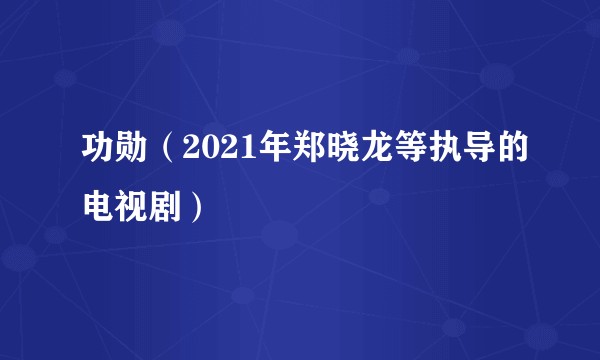 功勋（2021年郑晓龙等执导的电视剧）