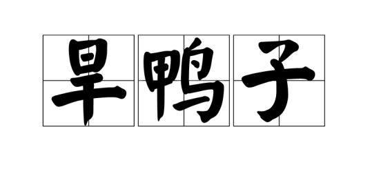 旱鸭子（汉语词语）