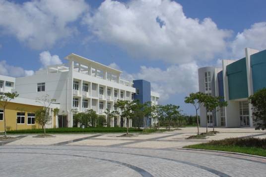 上海电力大学
