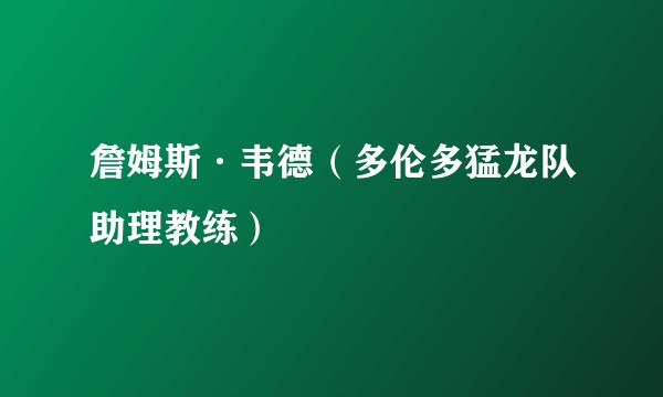 詹姆斯·韦德（多伦多猛龙队助理教练）