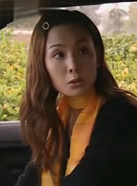 金蓓蓓（警匪剧《天不藏奸》中的角色）