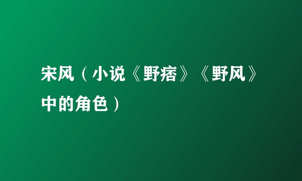 宋风（小说《野痞》《野风》中的角色）