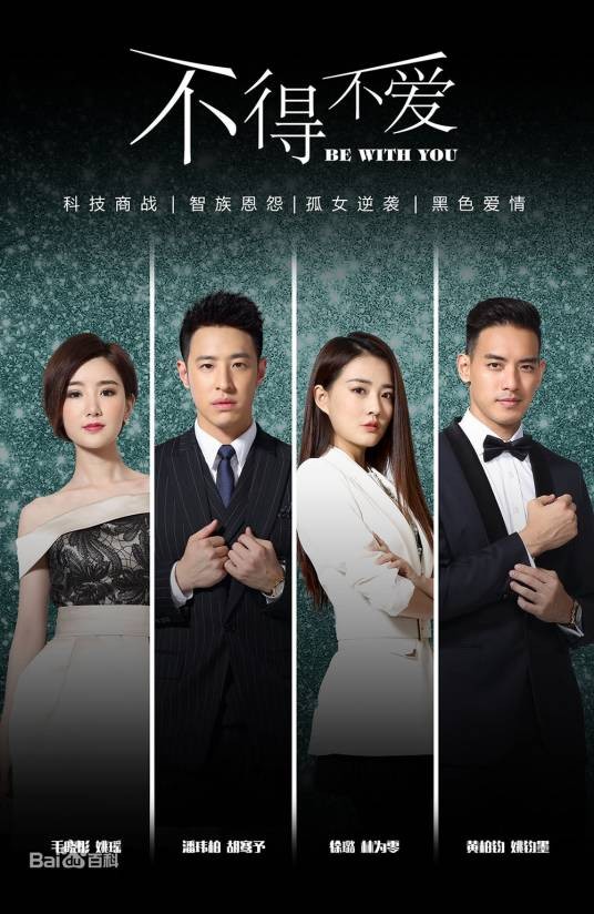 不得不爱（2017年曾丽珍执导的都市情感剧）