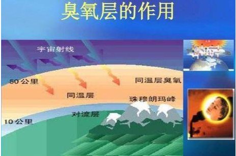 臭氧层能使地球上的生物免遭什么伤害紫外线？