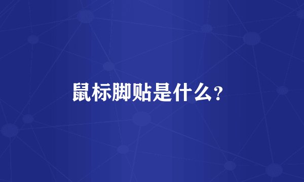 鼠标脚贴是什么？