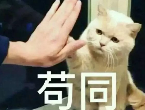 别人对我说不敢苟同我应该怎么回答