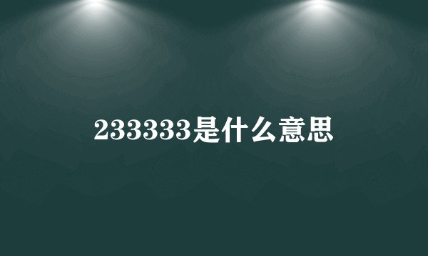 233333是什么意思