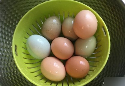 糖心鸡蛋煮多长时间
