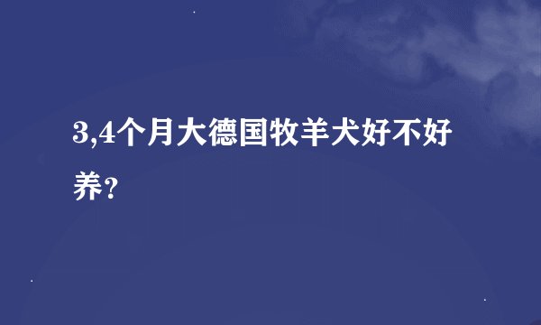 3,4个月大德国牧羊犬好不好养？