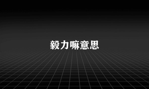 毅力嘛意思