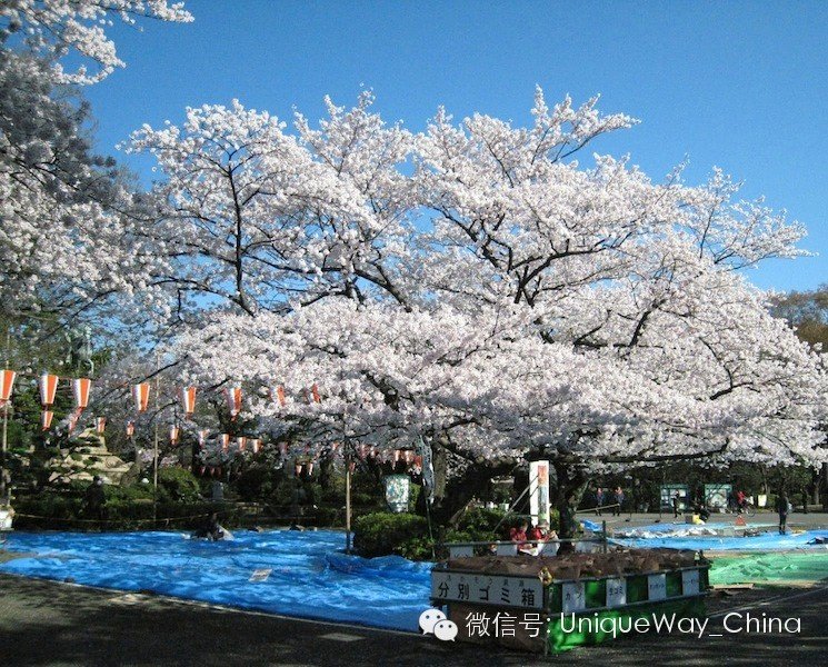 去日本旅行需要花多少钱?