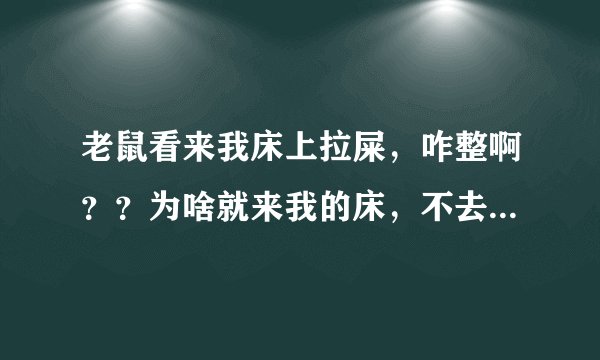 老鼠看来我床上拉屎，咋整啊？？为啥就来我的床，不去他们的床呢，床上比他们还干净呢？？求解