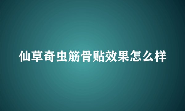 仙草奇虫筋骨贴效果怎么样