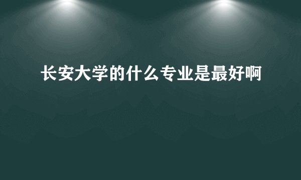长安大学的什么专业是最好啊