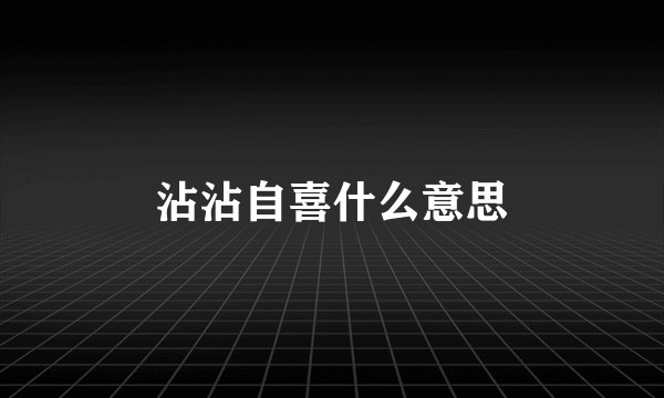 沾沾自喜什么意思