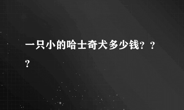 一只小的哈士奇犬多少钱？？？