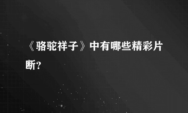 《骆驼祥子》中有哪些精彩片断？