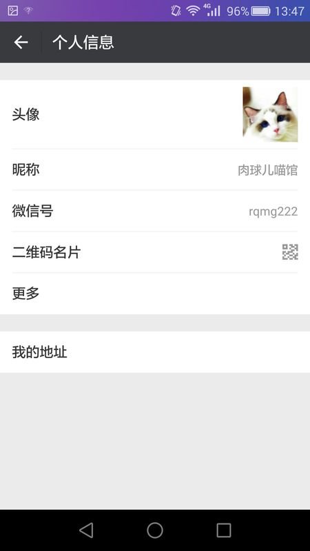 买猫去哪里买