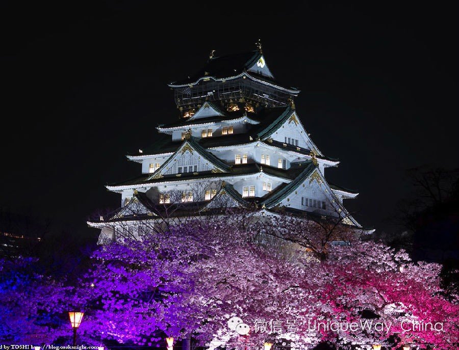 去日本旅行需要花多少钱?