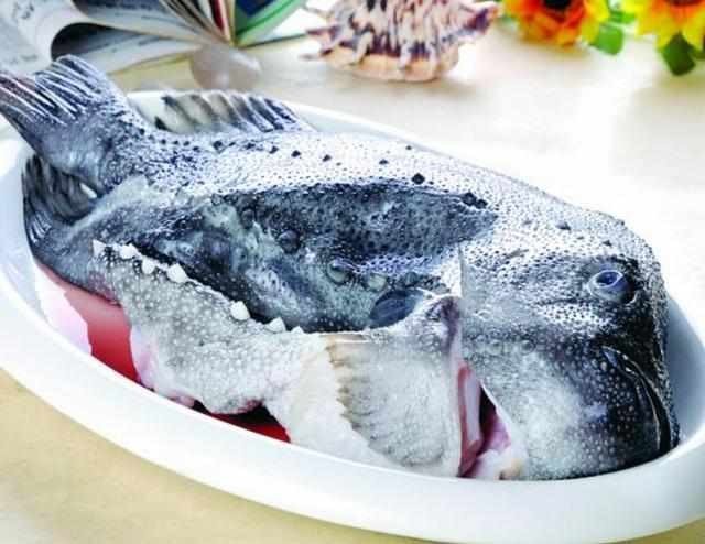 海参斑鱼可以常吃吗?