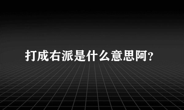 打成右派是什么意思阿?