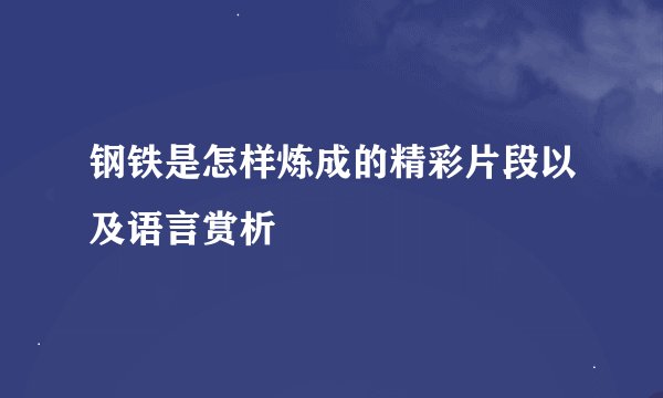 钢铁是怎样炼成的精彩片段以及语言赏析