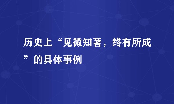 历史上“见微知著，终有所成”的具体事例