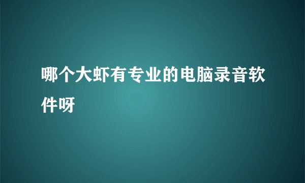 哪个大虾有专业的电脑录音软件呀