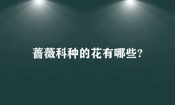 蔷薇科种的花有哪些?