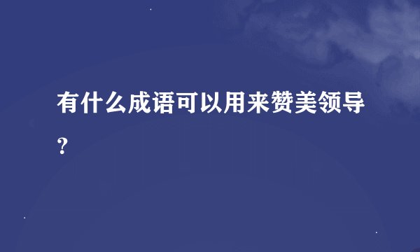有什么成语可以用来赞美领导？