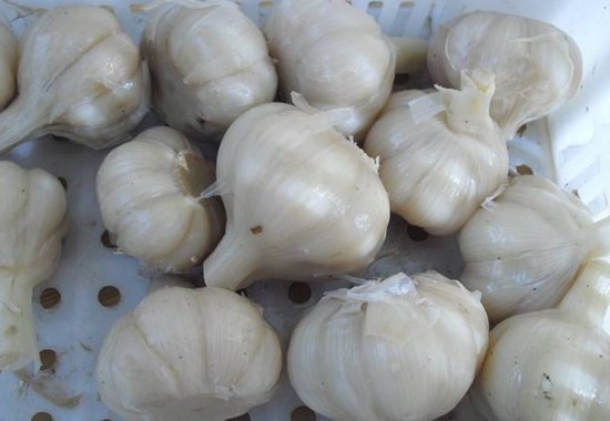 糖蒜 的腌制方法比例是多少? 10斤大蒜用多少糖和醋和盐?