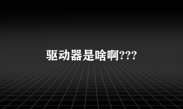 驱动器是啥啊???