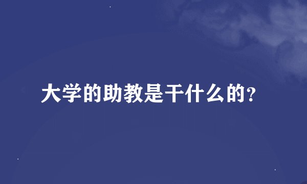 大学的助教是干什么的？