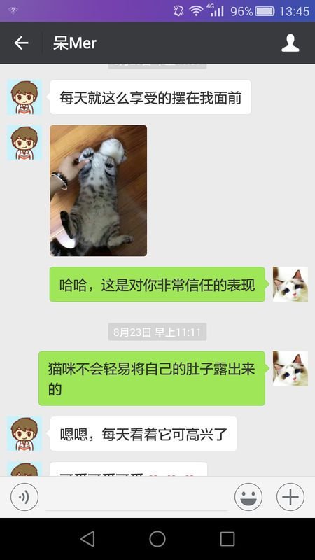 买猫去哪里买