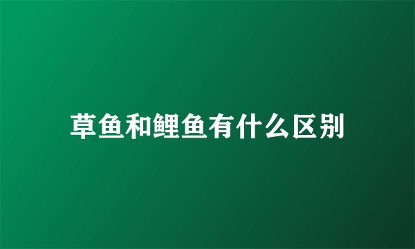草鱼和鲤鱼有什么区别