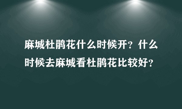 麻城杜鹃花什么时候开?什么时候去麻城看杜鹃花比较好?