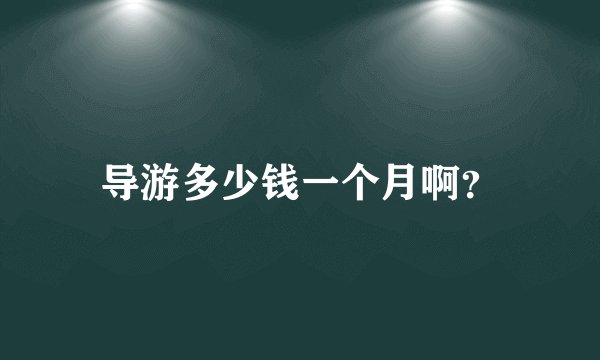导游多少钱一个月啊？