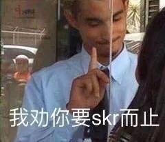 skr到底是个啥意思
