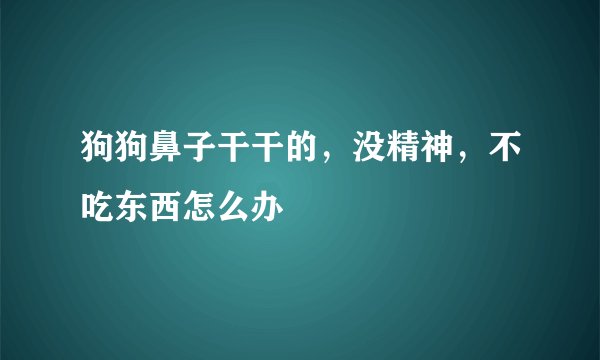 狗狗鼻子干干的，没精神，不吃东西怎么办