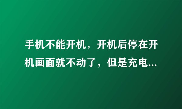 手机不能开机，开机后停在开机画面就不动了，但是充电可以充。怎么回事？