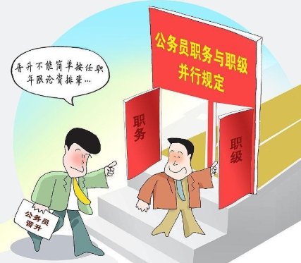 职务和职级怎么区分呢?