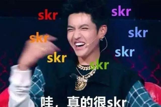 skr到底是个啥意思