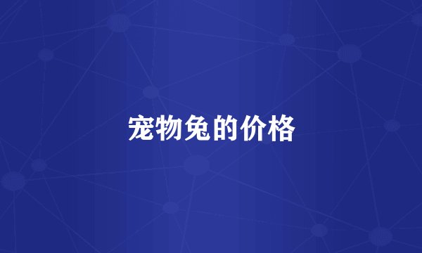 宠物兔的价格