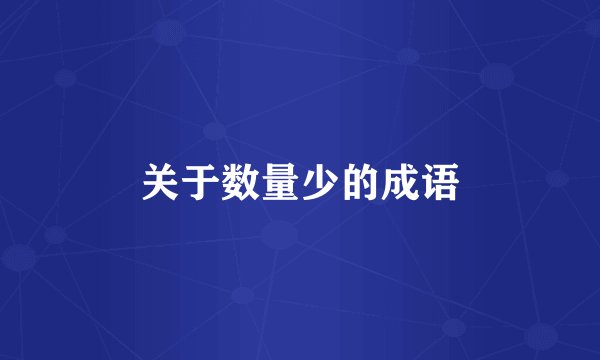 关于数量少的成语