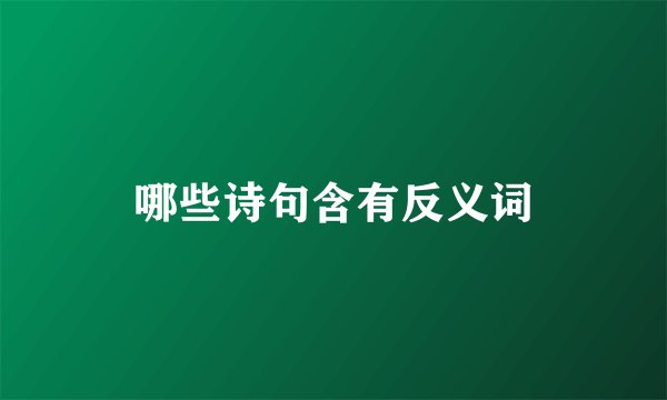 哪些诗句含有反义词