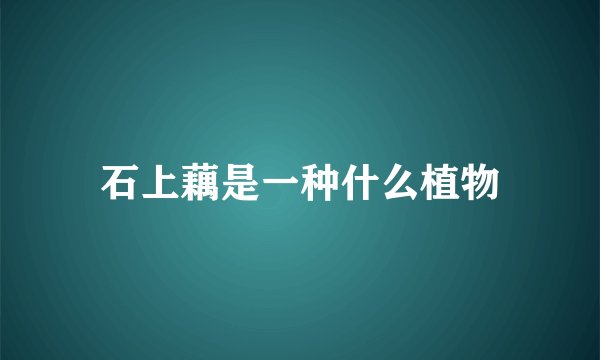 石上藕是一种什么植物