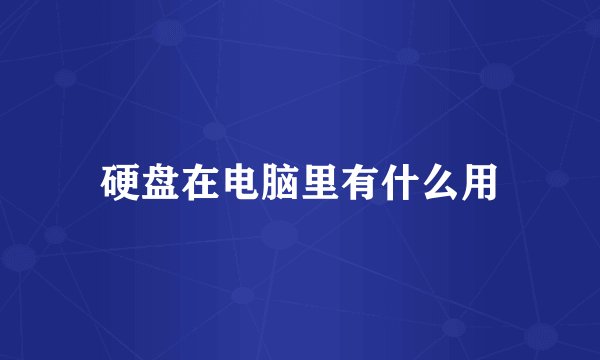 硬盘在电脑里有什么用