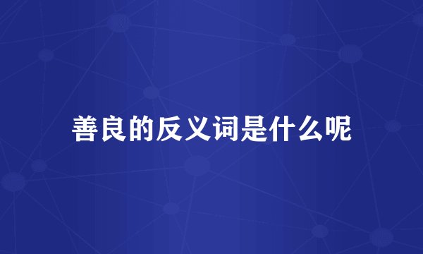 善良的反义词是什么呢