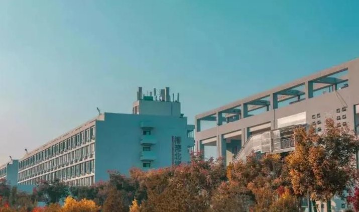 本科分数线最低的大学